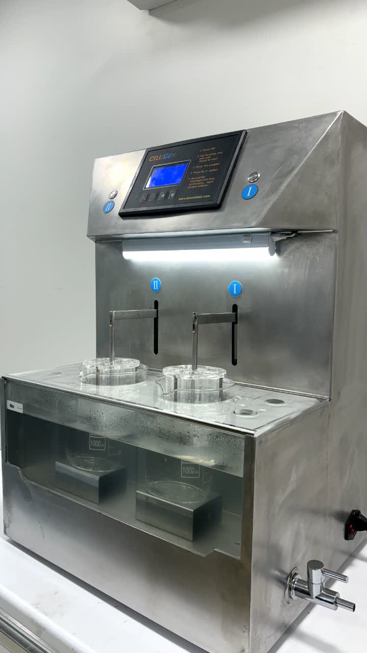 photo 2025 10 26 15 28 04